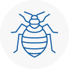 Bed Bug Extermination In Ilkeston
